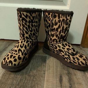 Leopard Uggs